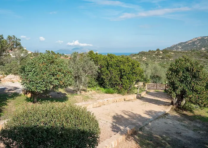 Aurazure By Klodge Willa