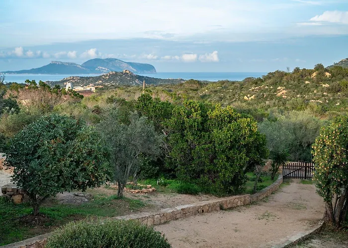 Willa Aurazure By Klodge