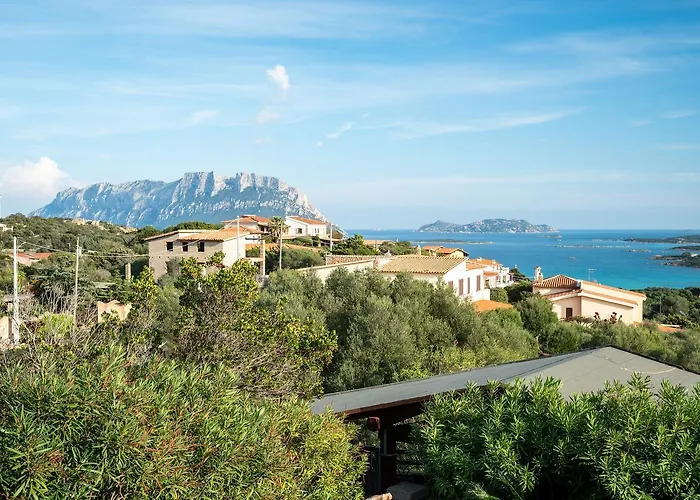 Willa Aurazure By Klodge